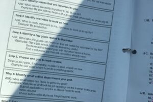 Dbt Emotion Regulation Worksheet 18 Values And Priorities