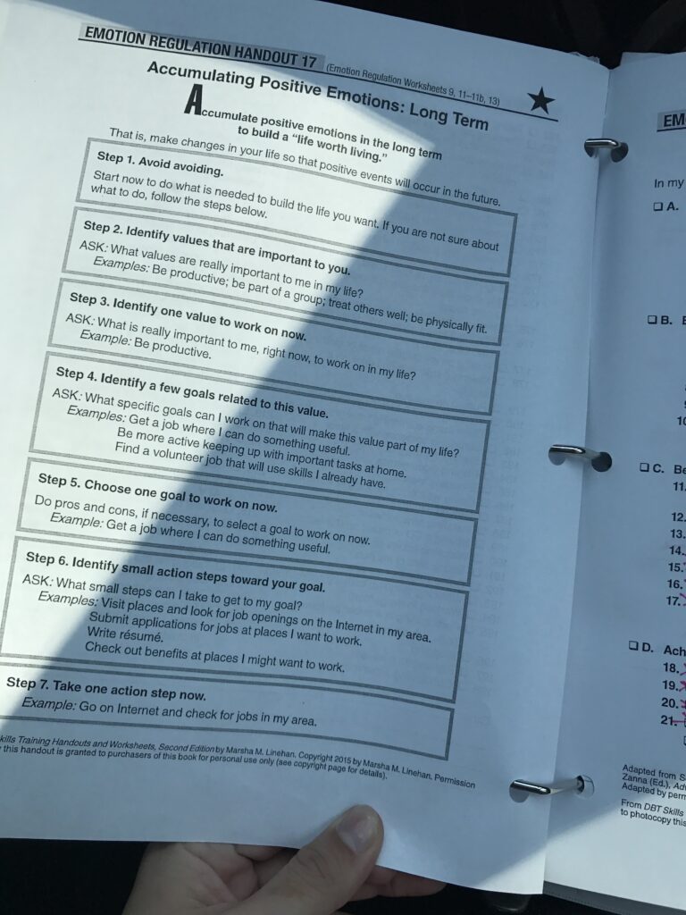 Dbt Emotion Regulation Worksheet 18 Values And Priorities - DBT Worksheets