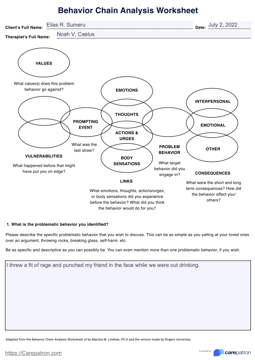 Behavior Chain Analysis Worksheet Example Free PDF Download