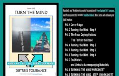 D B T LESSON 2 14 Distress Tolerance TURN The MIND Skill Worksheets And Handouts D B T Peer Guided Lessons Etsy Australia