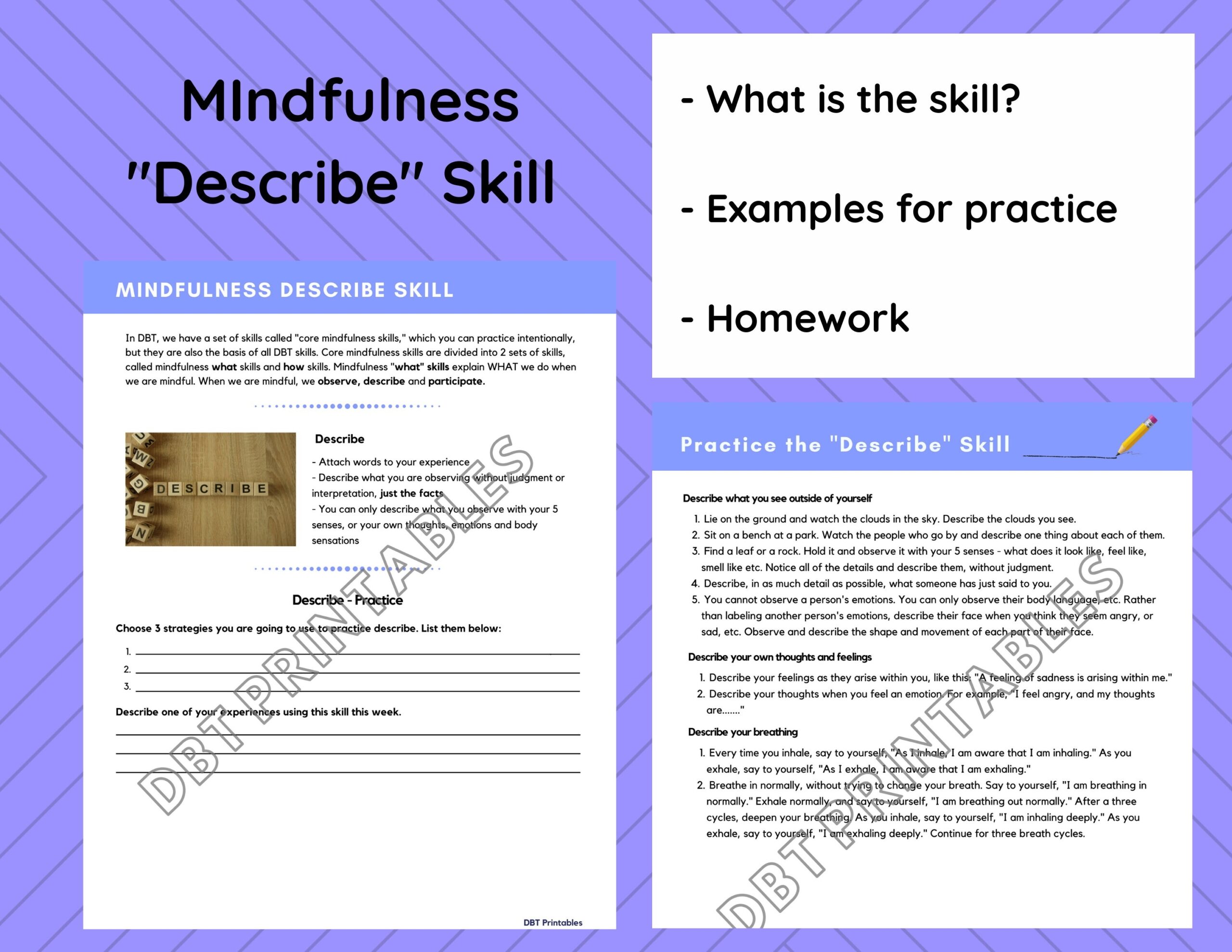 Observe And Describe Dbt Skills Worksheets