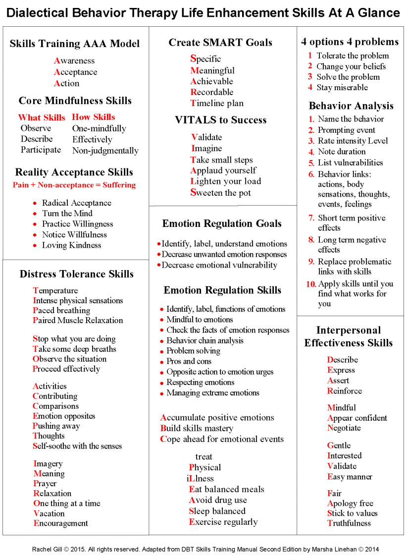 Dbt skills quick reference by rachel gill PsychSIGN