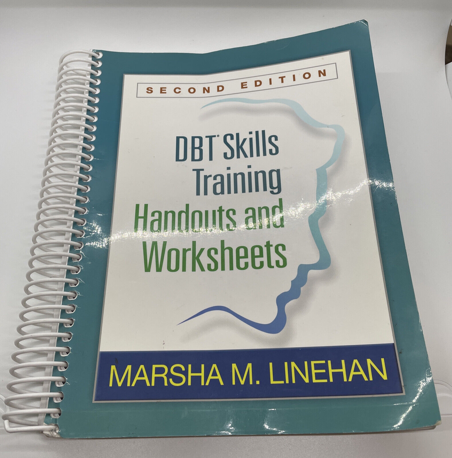 DBT Skills Training Handouts And Worksheets Second Edition 9781572307810 EBay