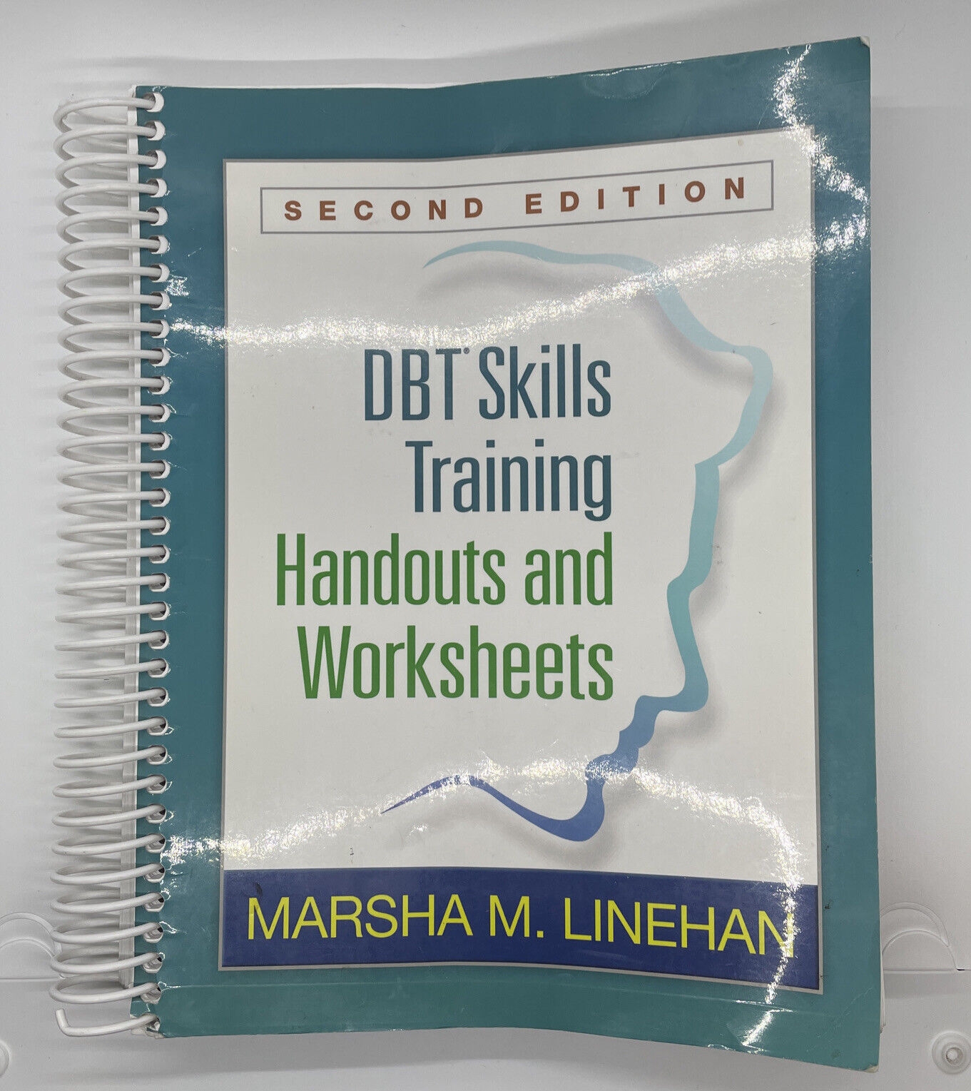 Dbt Skills Training Handoutsand Worksheets Second Edition