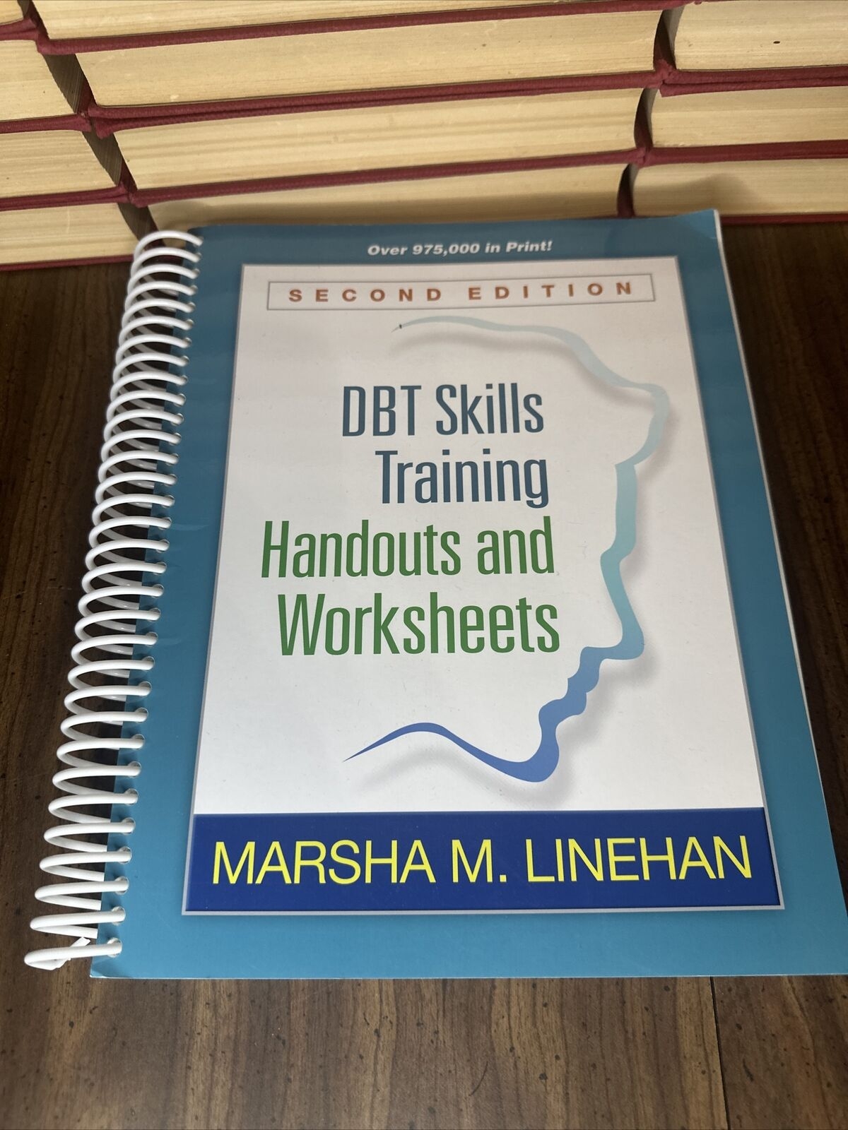 Dbt Skills Training Handouts And Worksheets Marsha M Linehan