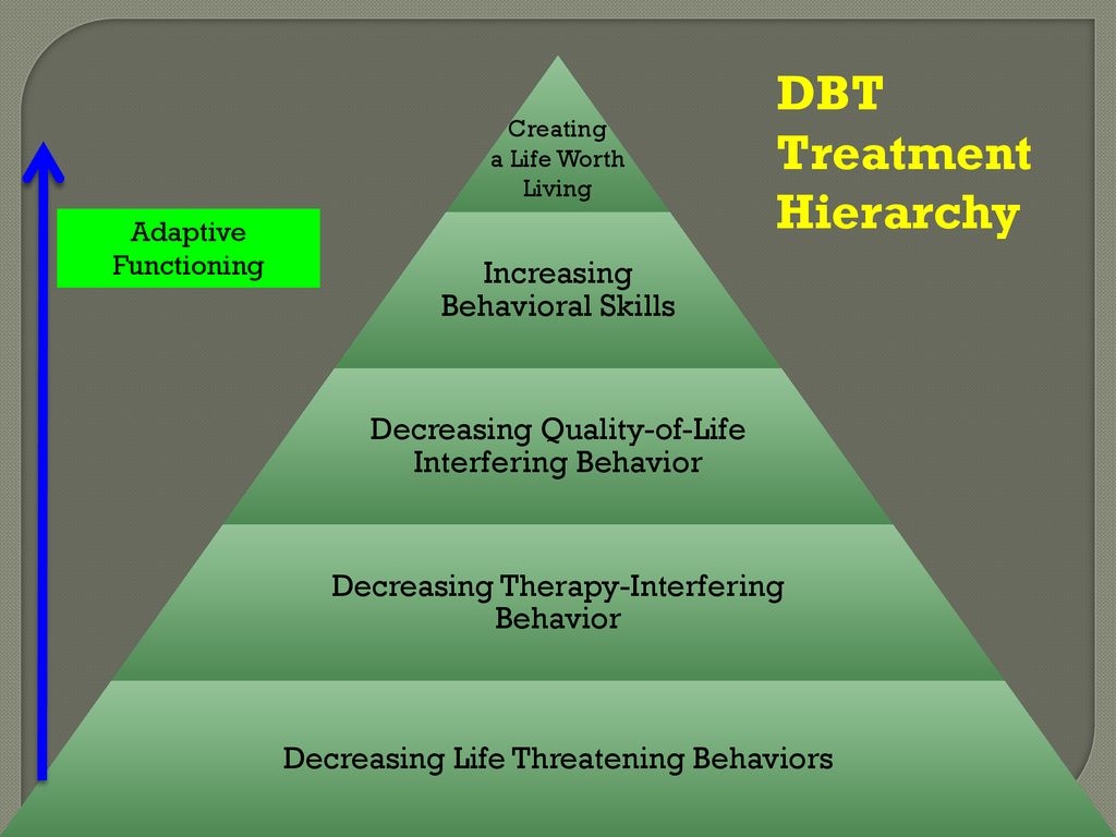 Dialectical Behavioral Therapy In The Public Schools Ppt Download