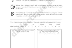 DBT Stop Skill Worksheet