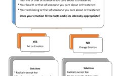 Respecting Emotion Regulating Emotion An Introduction To Checking The Facts DBT Informed Peer Connections