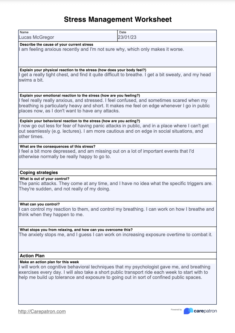 Stress Management Worksheet Example Free PDF Download