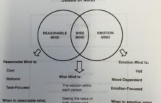 Wise Mind States Of Mind This Handout From DBT Skills Training By James Wakefield Medium